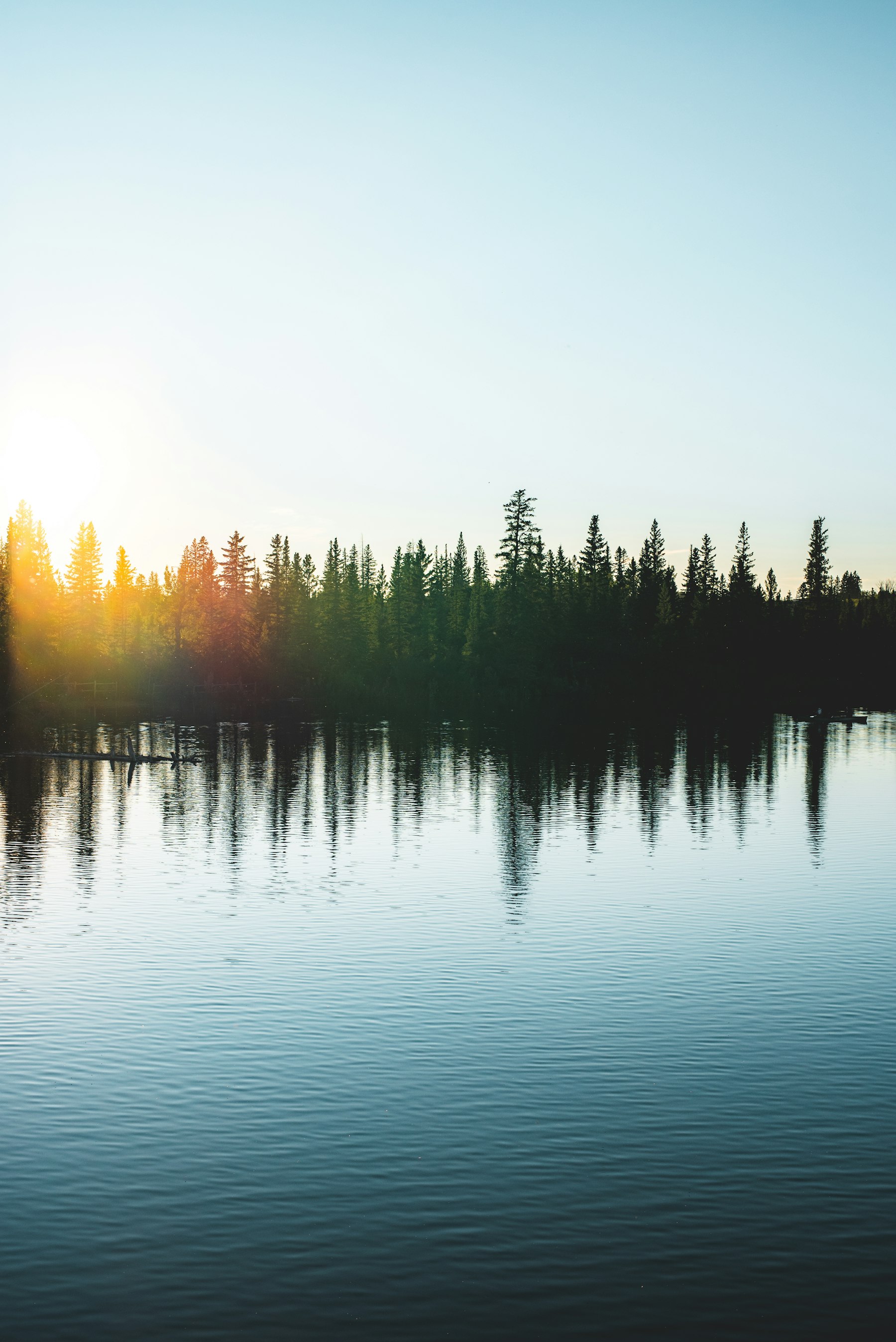 A lake bordered by trees