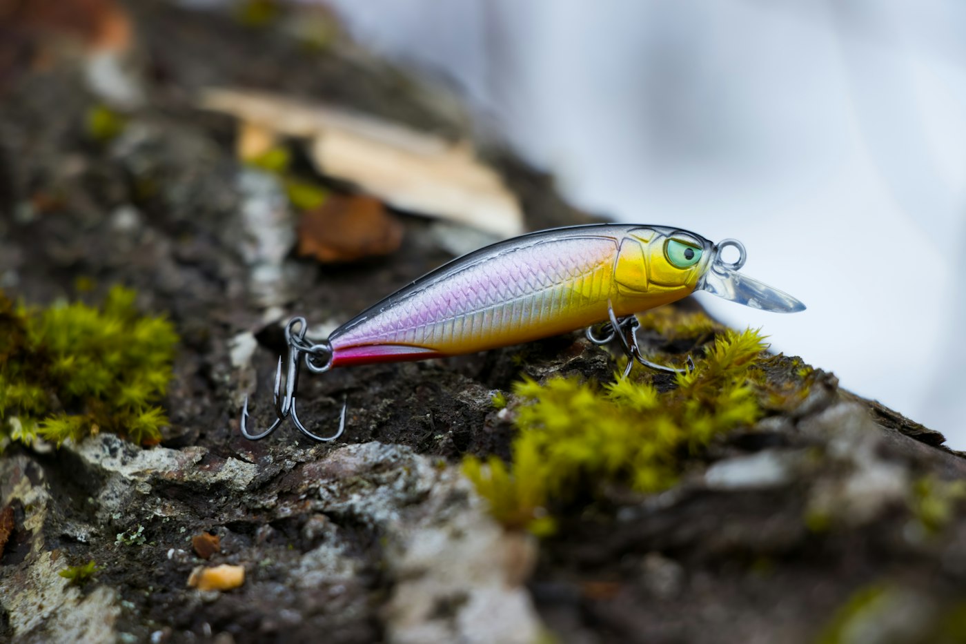 Fishing lure resting on moss